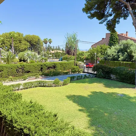 Alpehytte Ciguena By Gloove Alicante