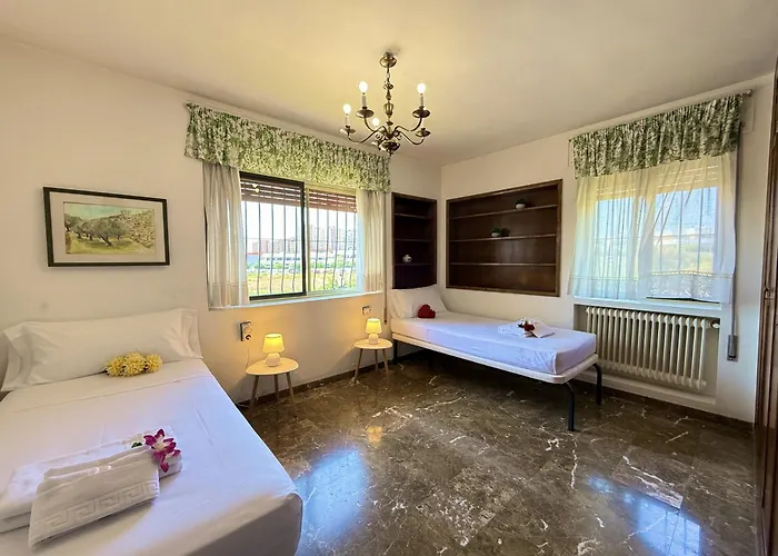 Ciguena By Gloove Alicante