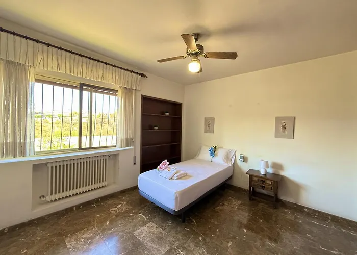 Ciguena By Gloove * Alicante